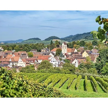 Appartamento Pinot Noire