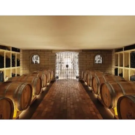Pinot Noire Apartment Mullheim (Baden-Wurttemberg)