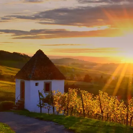 Pinot Noire Apartment Mullheim (Baden-Wurttemberg)