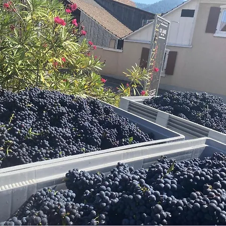 Pinot Noire *