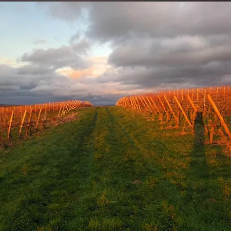 Appartamento Pinot Noire Mullheim (Baden-Wurttemberg)